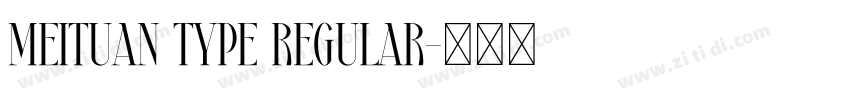 Meituan Type Regular字体转换